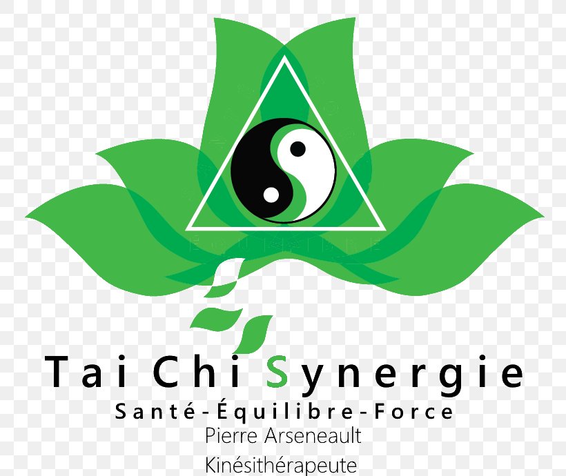 Tai Chi Clip Art Graphic Design Logo Brand, PNG, 758x690px, Tai Chi, Area, Artwork, Brand, Diabetes Mellitus Download Free