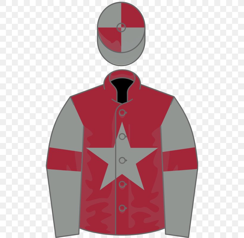Thoroughbred Cheltenham Festival National Hunt Racing Horse Racing The Grand National, PNG, 512x799px, Thoroughbred, Cheltenham Festival, Collar, Grand National, Horse Download Free