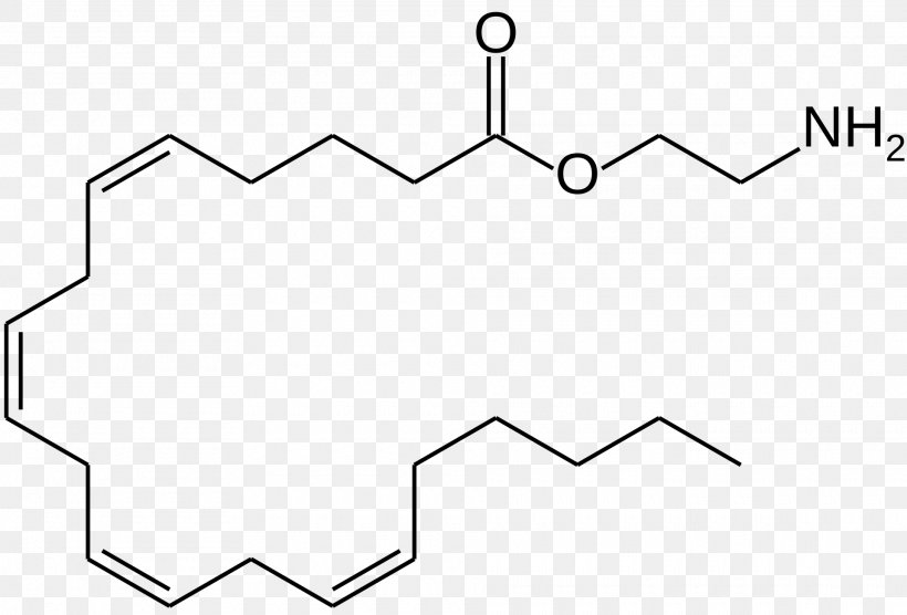 Fatty Acid Monoglyceride Amino Acid Arachidonic Acid, PNG, 1920x1304px, Acid, Amide, Amino Acid, Arachidonic Acid, Area Download Free