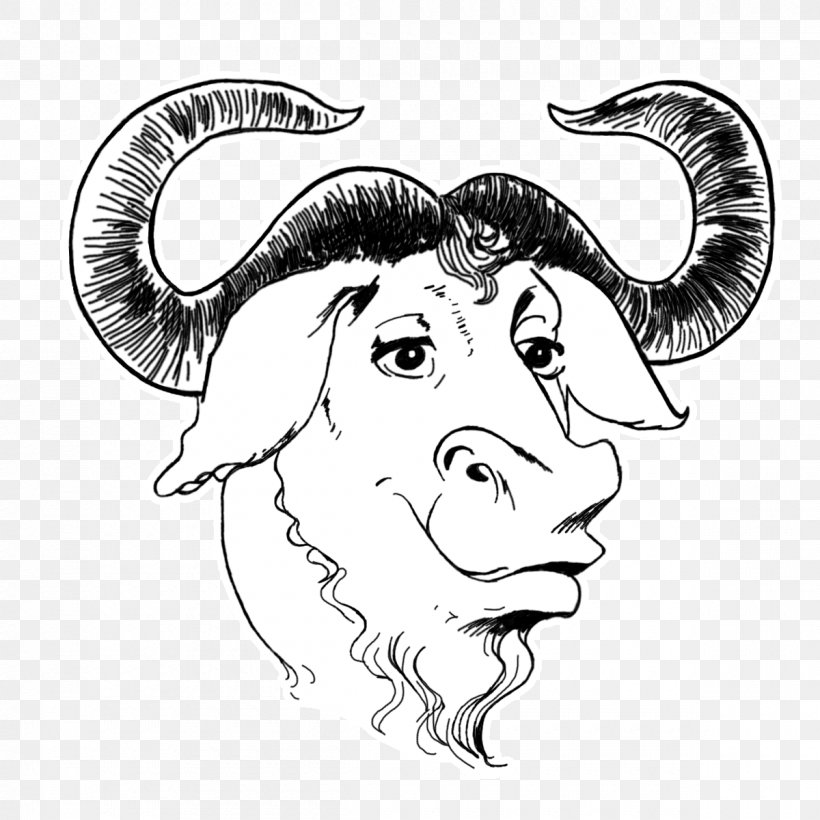 Gnu General Public License Gnu Project Free Software Foundation