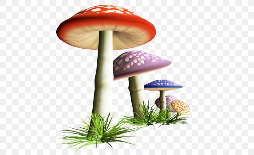 Mushroom Photography Fungus Clip Art, PNG, 500x500px, Mushroom, Alice In Wonderland, Common Mushroom, Edible Mushroom, Fantastic Art Download Free