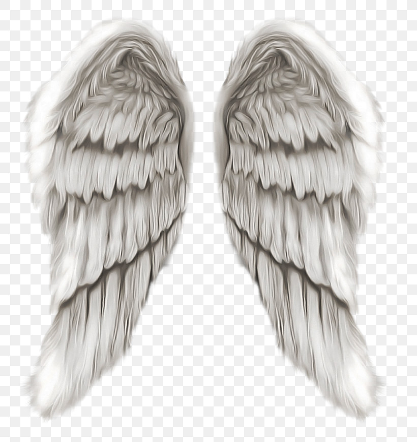 Feather, PNG, 772x870px, Wing, Angel, Earrings, Feather Download Free