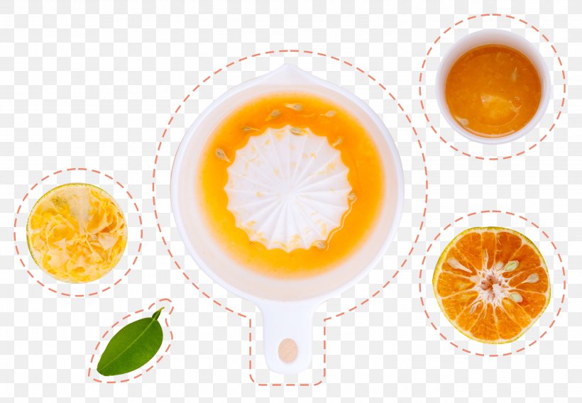 Orange Juice Fruit Drink, PNG, 3049x2115px, Orange Juice, Cup, Designer, Drink, Food Download Free