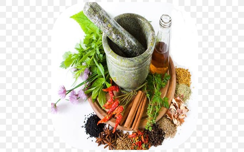 Dindigul Siddhartha Siddha Medicine Govt. Siddha Medical College, PNG, 512x512px, Dindigul, Diet Food, Guru, Herb, Herbal Download Free