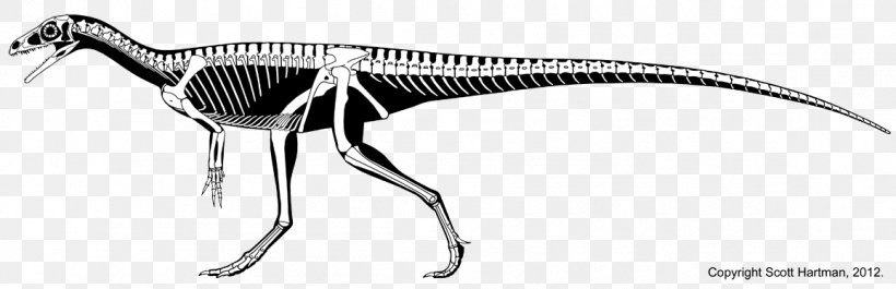 Eoraptor Lunensis Velociraptor Eodromaeus Herrerasaurus Chindesaurus, PNG, 1157x375px, Eoraptor Lunensis, Archosaur, Basal, Beak, Black And White Download Free