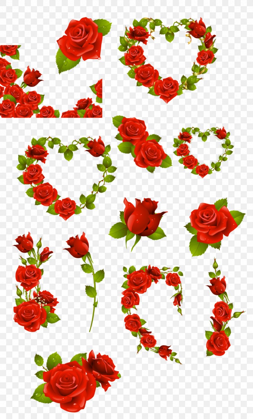 Garden Roses Flower Clip Art, PNG, 900x1492px, Rose, Cut Flowers, Flora, Floral Design, Floristry Download Free