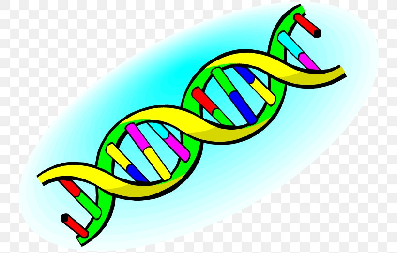 Nucleic Acid Double Helix DNA Nucleic Acid Structure Clip Art, PNG, 750x523px, Nucleic Acid Double Helix, Area, Art, Artwork, Blog Download Free