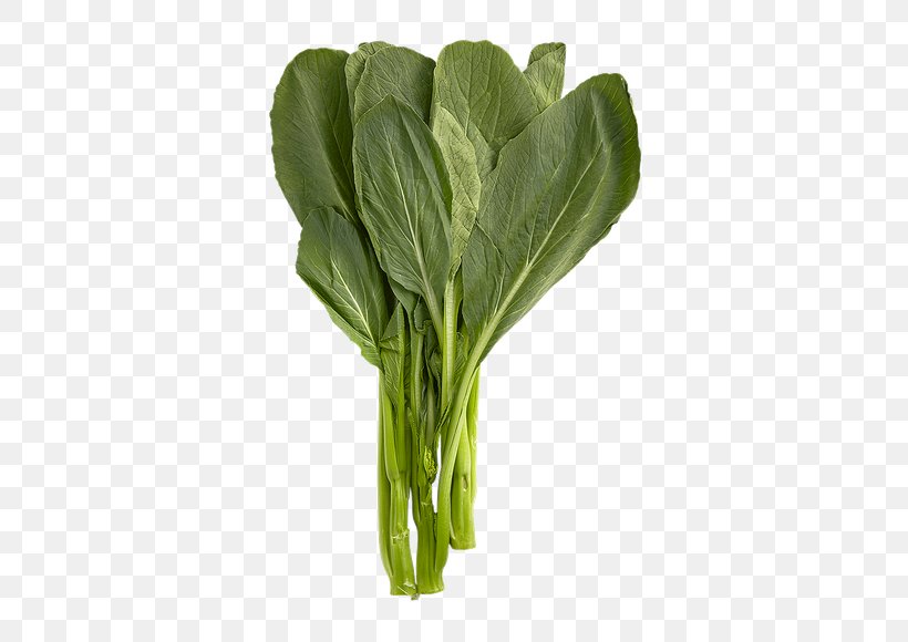 Chard Spring Greens Collard Greens Komatsuna Choy Sum, PNG, 580x580px, Chard, Anthurium, Arugula, Bok Choi, Chinese Broccoli Download Free