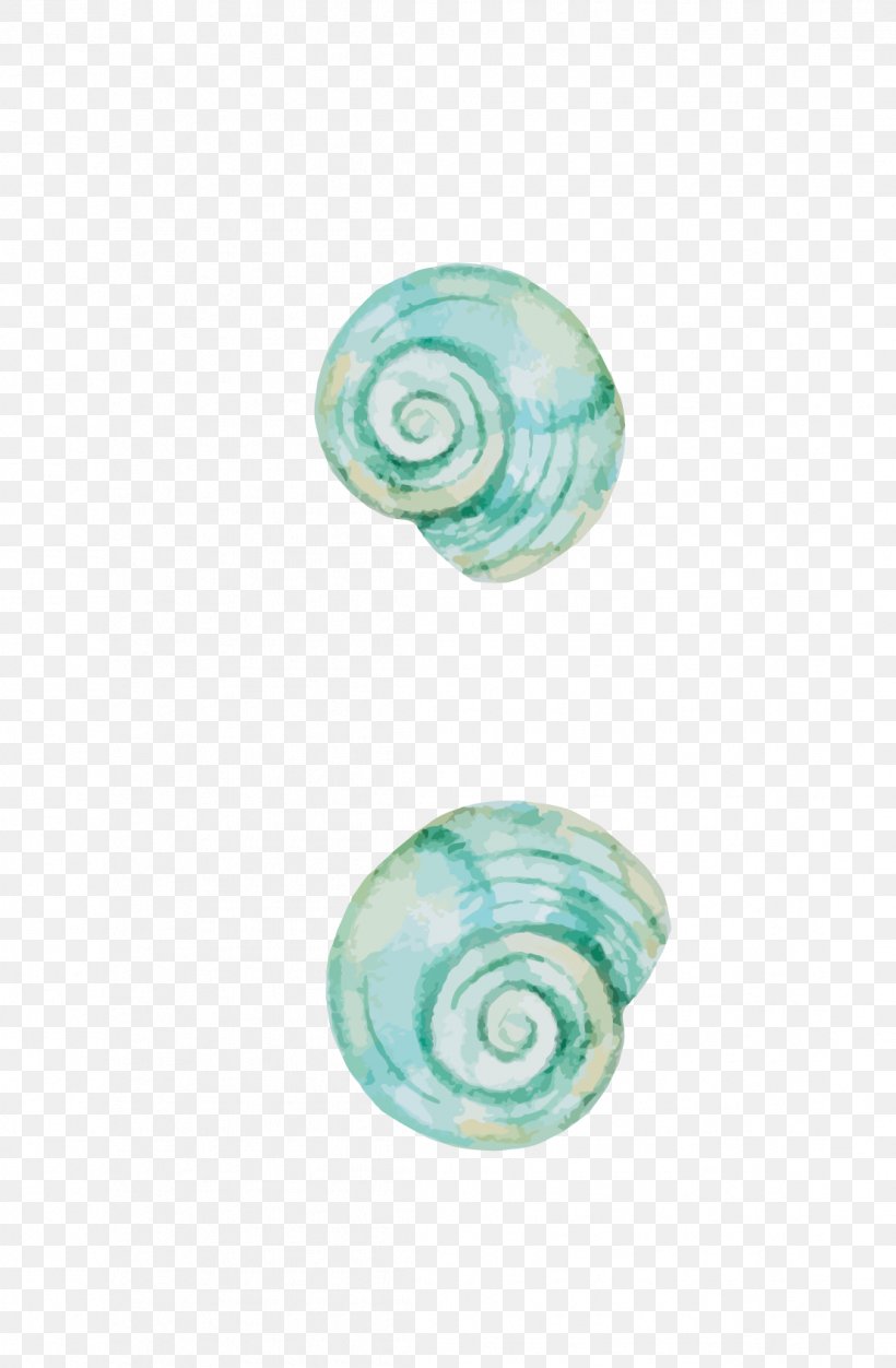 Escargot Mollusc Shell Orthogastropoda Snail, PNG, 1108x1692px, Escargot, Aqua, Gastropod Shell, Green, Mollusc Shell Download Free