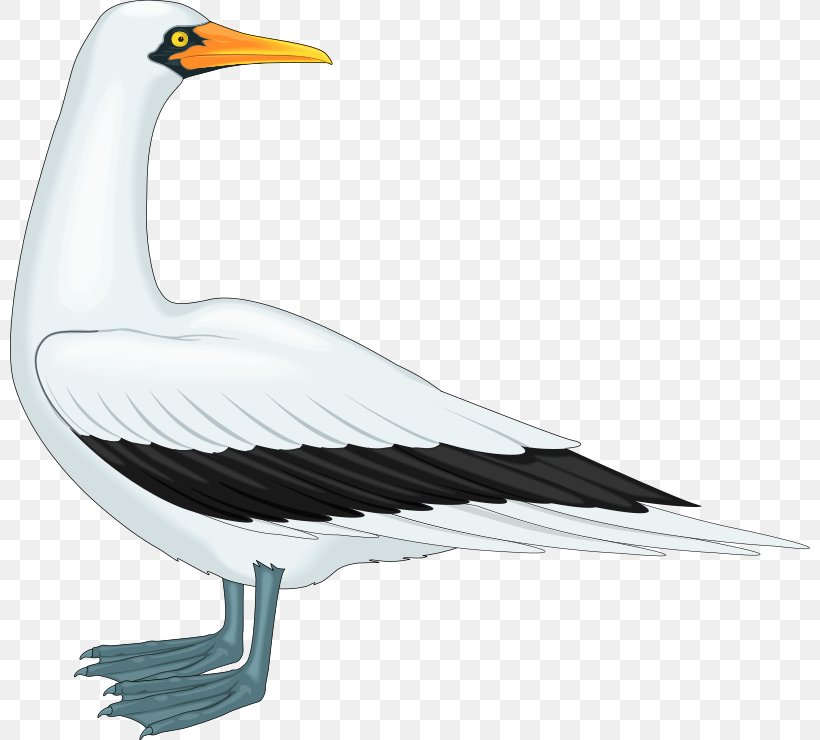 Gulls Clip Art, PNG, 800x740px, Gulls, Art, Beak, Bird, Charadriiformes Download Free