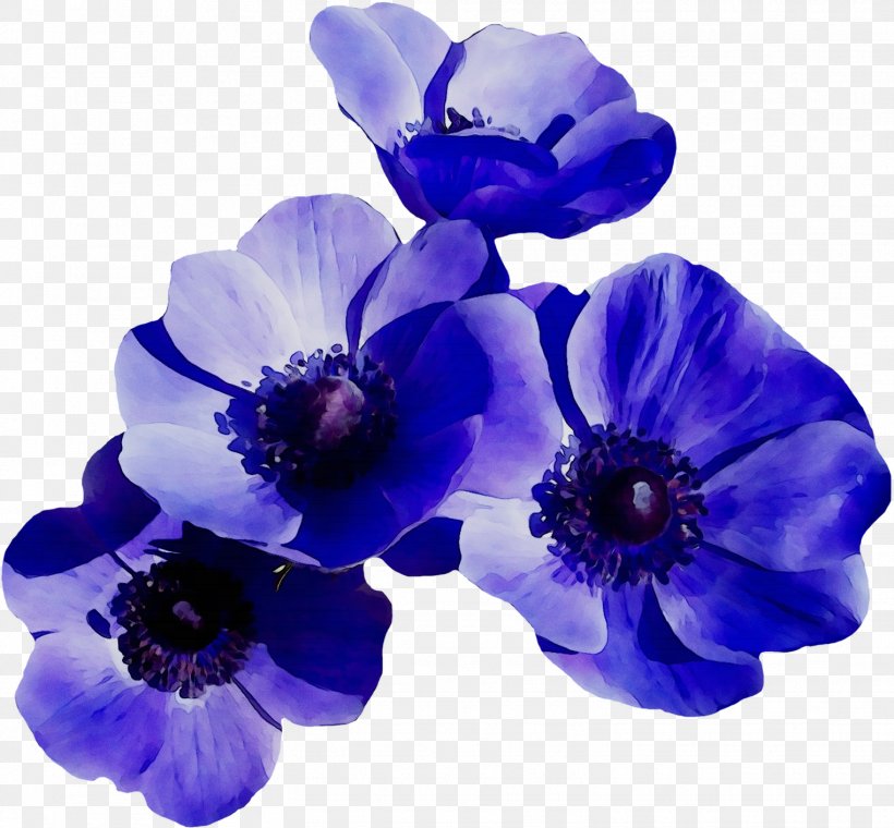Anemone Bellflower Larkspur Cut Flowers Herbaceous Plant, PNG, 1523x1412px, Anemone, Artificial Flower, Bellflower, Blue, Cobalt Blue Download Free