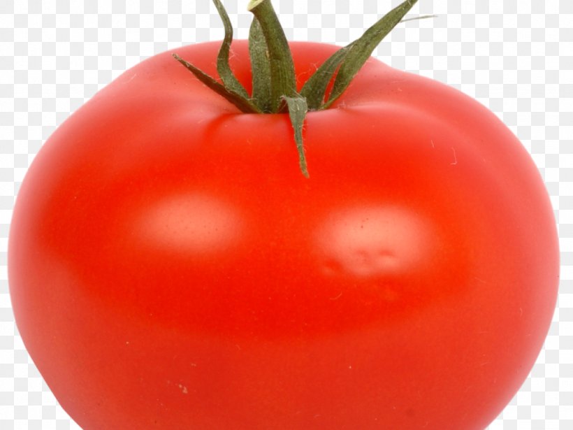 Plum Tomato Bush Tomato Image, PNG, 1024x768px, Plum Tomato, Beef, Beef Noodle Soup, Brisket, Bush Tomato Download Free
