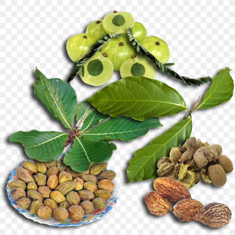 Triphala Ayurveda Natural Foods Powder, PNG, 1000x1000px, Triphala, Ayurveda, Digestion, Dose, Food Download Free