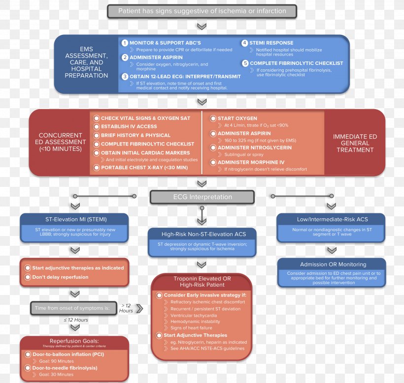 Advanced Cardiac Life Support Acute Coronary Syndrome Cardiology Cardiac Arrest, PNG, 2550x2424px, Advanced Cardiac Life Support, Acute Coronary Syndrome, Bradycardia, Brand, Cardiac Arrest Download Free