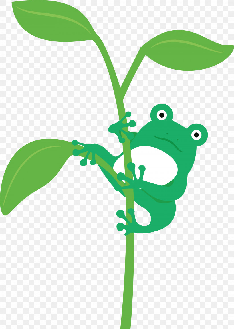 Frogs Leaf Tree Frog Plant Stem Meter, PNG, 2132x3000px, Frog, Branching, Cartoon, Frogs, Leaf Download Free