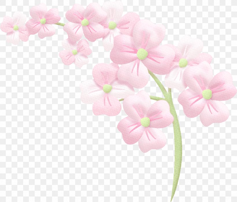 Moth Orchids Cut Flowers Floral Design ST.AU.150 MIN.V.UNC.NR AD, PNG, 1449x1236px, Moth Orchids, Blossom, Branch, Chemical Element, Cherry Blossom Download Free
