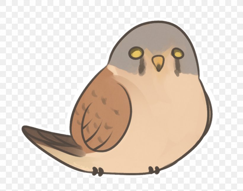 Owl Beak Cartoon, PNG, 900x709px, Owl, Beak, Bird, Bird Of Prey, Cartoon Download Free