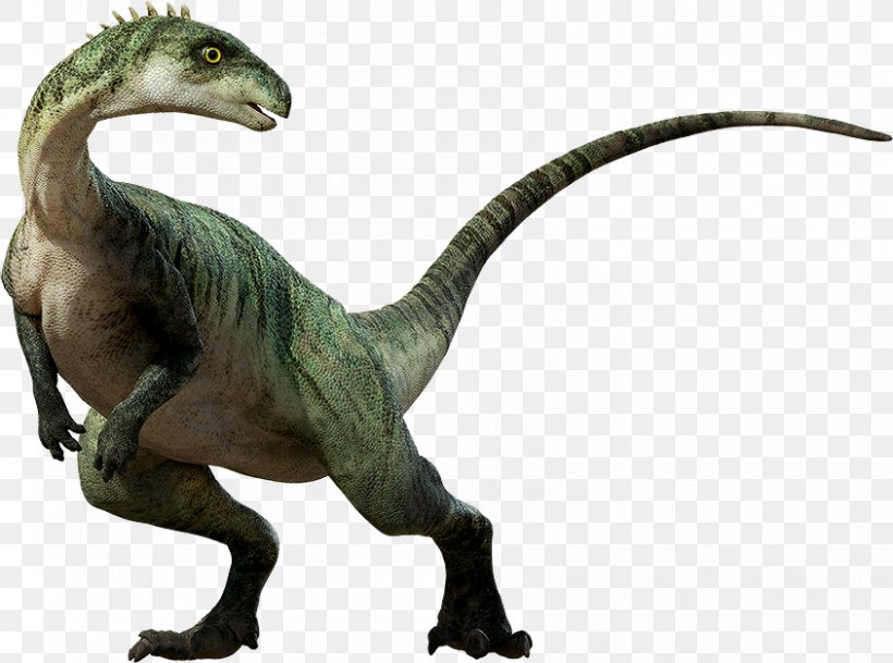 Parksosaurus Hypsilophodon Triceratops Tenontosaurus Dinosaur, PNG, 844x627px, Hypsilophodon, Brachiosaurus, Dinosaur, Dinosaur Train, Einiosaurus Download Free