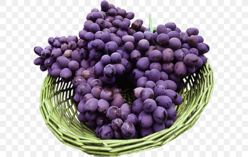 Pinot Noir Wine Greco Grape Fruit, PNG, 600x520px, Pinot Noir, Autumn Royal, Berry, Bilberry, Blueberry Download Free