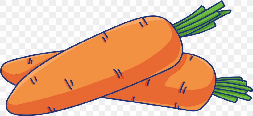 Vegetables Cartoon, PNG, 1871x861px, Radish, Baby Carrot, Carrot, Food, Footwear Download Free