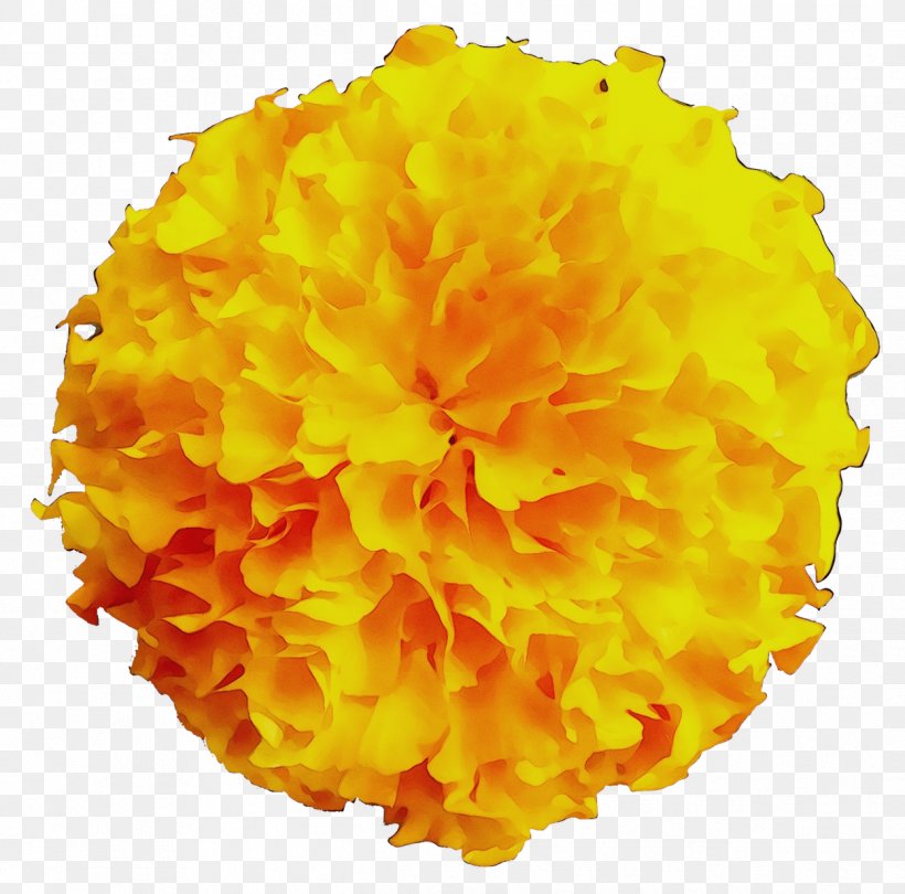 Yellow Cut Flowers, PNG, 1246x1232px, Yellow, Cut Flowers, Flower, Orange, Pompom Download Free