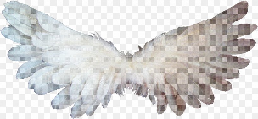 Feather, PNG, 1280x592px, White, Costume Accessory, Feather, Formal Gloves, Fur Download Free