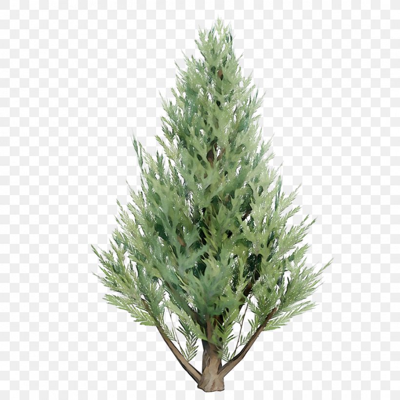 Spruce Christmas Tree Christmas Ornament Fir Tree-topper, PNG, 1110x1110px, Spruce, American Larch, Arizona Cypress, Artificial Christmas Tree, Balsam Fir Download Free