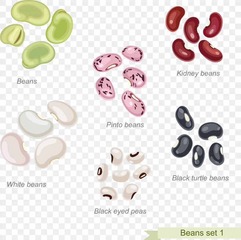Cowboy Beans Pinto Bean Refried Beans, PNG, 4828x4814px, Cowboy Beans, Bean, Body Jewelry, Button, Cereal Download Free