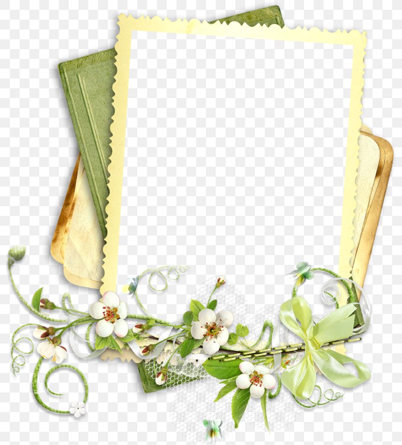 GRADUATION BORDER, PNG, 800x907px, Youtube, Commandline Interface, Floral Design, Jewellery, Lofter Download Free