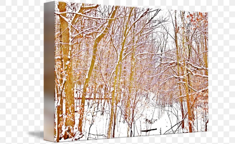 Winter, PNG, 650x504px, Winter, Birch, Birch Family, Branch, Snow Download Free