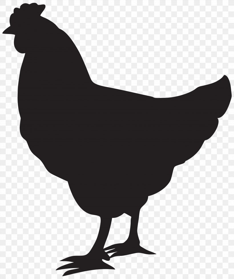Chicken Silhouette Rooster Clip Art, PNG, 6709x8000px, Chicken, Art, Beak, Bird, Black And White Download Free