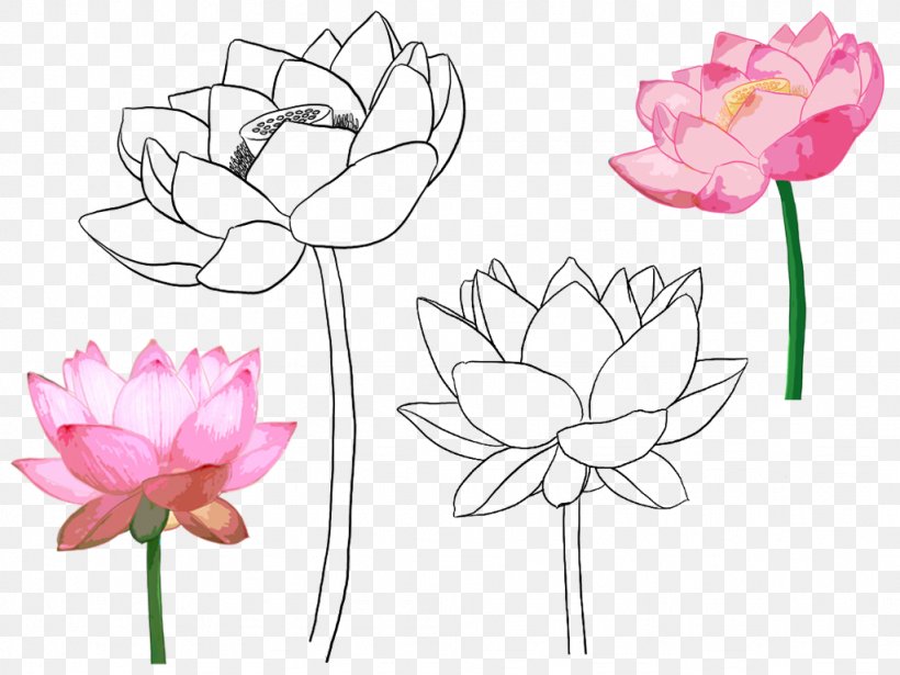 Floral Design Croquis Illustration, PNG, 1024x768px, Floral Design, Aquatic Plant, Art, Artwork, Birdandflower Painting Download Free