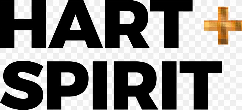Logo Brand Spirit Airlines Font, PNG, 2428x1106px, Logo, Brand, Spirit Airlines, Text Download Free