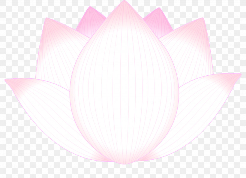 Lotus Flower, PNG, 3000x2171px, Lotus, Aquatic Plant, Flower, Lotus Family, Petal Download Free