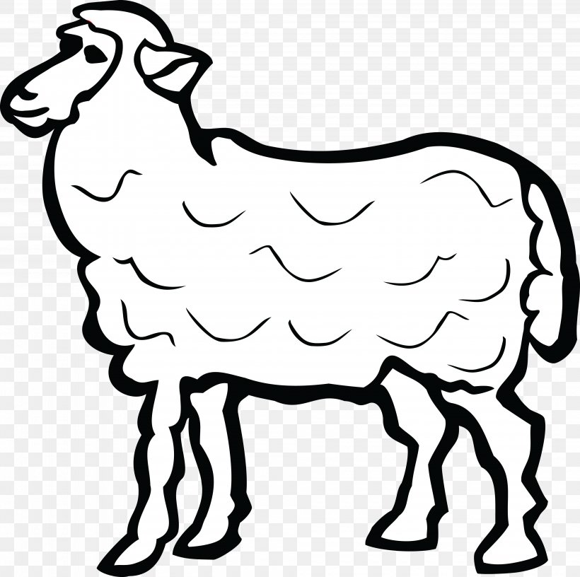 White Sheep Sheep Line Art Livestock, PNG, 4000x3984px, White, Coloring Book, Cowgoat Family, Line Art, Livestock Download Free