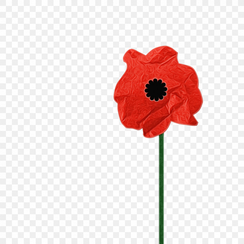 Red Flower Poppy Coquelicot Petal, PNG, 1200x1200px, Watercolor, Coquelicot, Corn Poppy, Cut Flowers, Flower Download Free