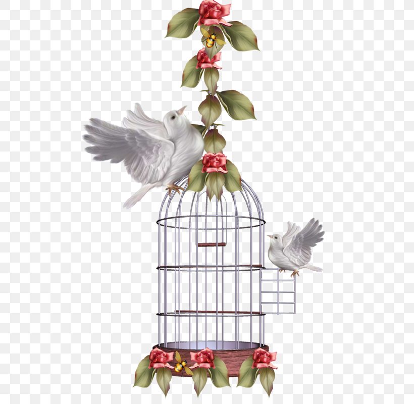 Birdcage Clip Art, PNG, 532x800px, Bird, Bird Nest, Bird Supply, Birdcage, Branch Download Free