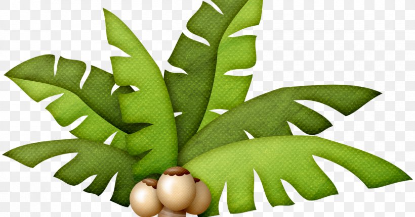 Drawing Clip Art, PNG, 1200x630px, Drawing, Animated Film, Arecaceae, Flowerpot, Fruit Download Free