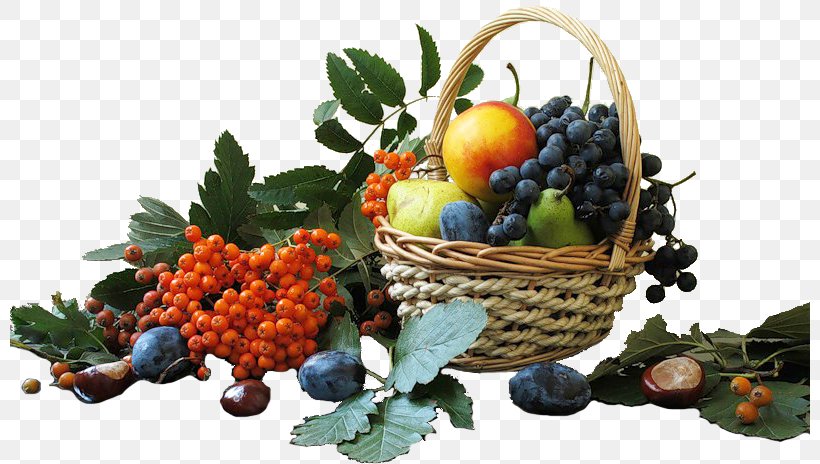 Grape Fruits And Berries, PNG, 800x464px, Grape, Autumn, Berries, Berry, Blog Download Free