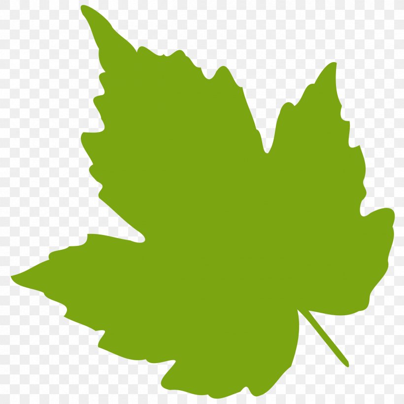 Grape Leaves Leaf Clip Art, PNG, 2400x2400px, Grape Leaves, Autumn Leaf Color, Drawing, Flowering Plant, Grape Download Free