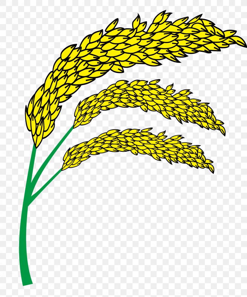 Euclidean Vector Yellow, PNG, 1530x1841px, Yellow, Commodity, Grass, Grass Family, Gratis Download Free