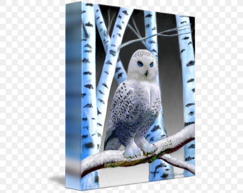 Owl Canvas Print Digital Art, PNG, 510x650px, Owl, Art, Beak, Bird, Bird Of Prey Download Free