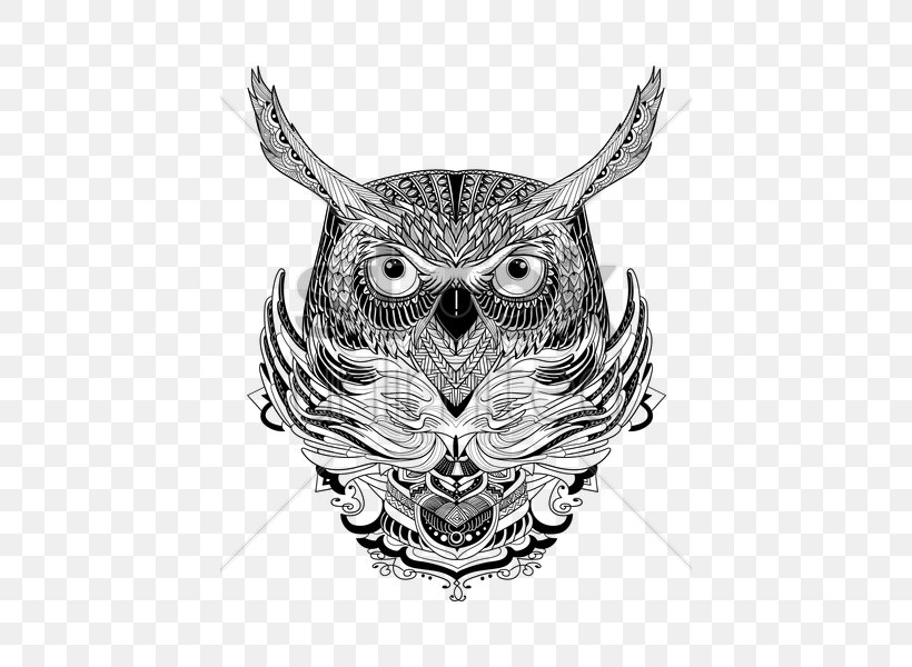 Owl Visual Arts Beak Sketch, PNG, 424x600px, Owl, Art, Beak, Bird, Bird Of Prey Download Free