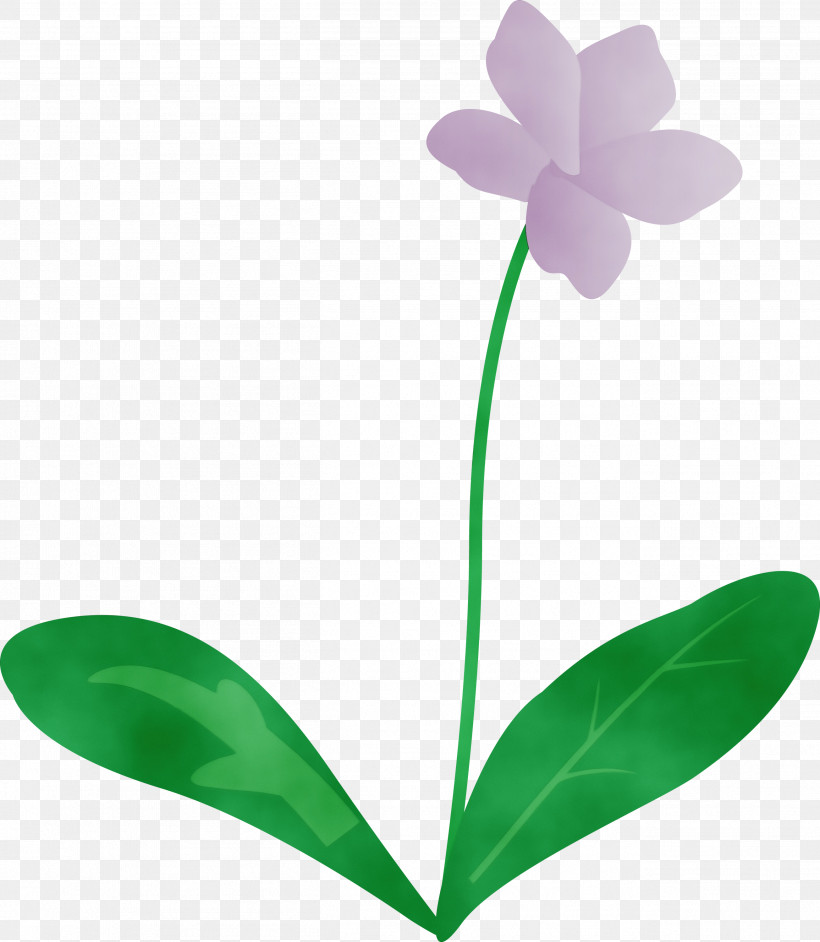 Plant Stem Flower Leaf Moth Orchids Petal, PNG, 2609x3000px, Violet Flower, Biology, Flora, Flower, Leaf Download Free