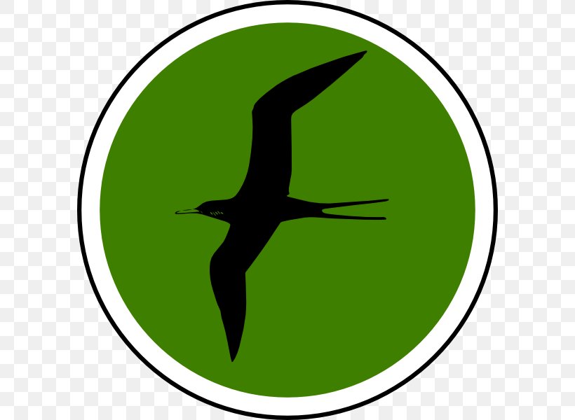 Beak Clip Art Water Bird Fauna, PNG, 600x600px, Beak, Bird, Fauna, Grass, Green Download Free