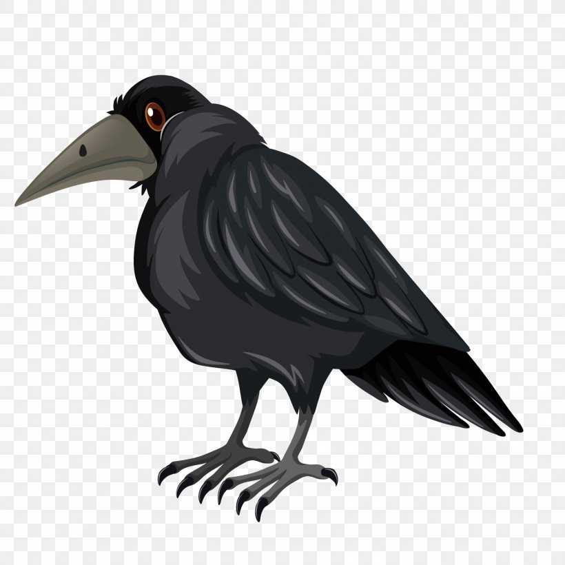 Bird Crows Crane Illustration, PNG, 1500x1500px, Bird, American Crow, Beak, Bird Flight, Crane Download Free