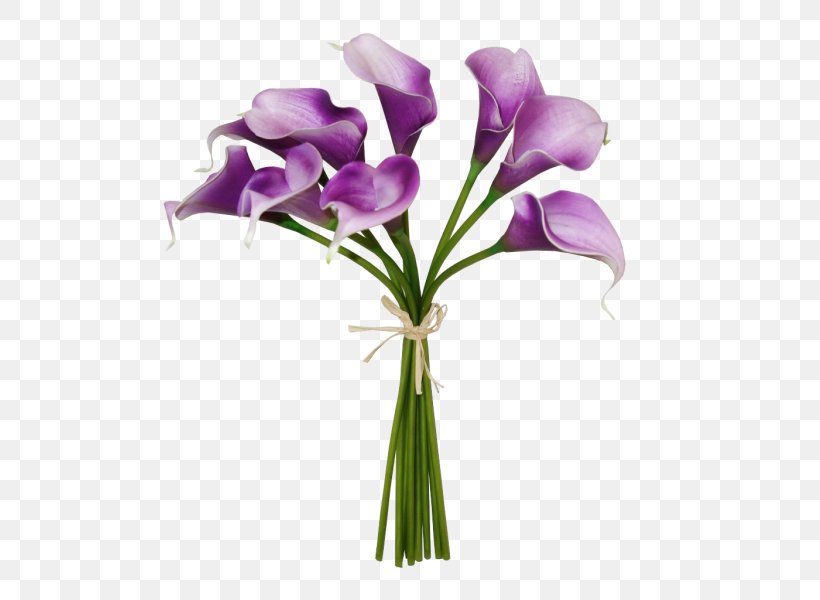 Cut Flowers Floral Design Floristry Flower Bouquet, PNG, 800x600px, Flower, Cut Flowers, Floral Design, Floristry, Flower Bouquet Download Free