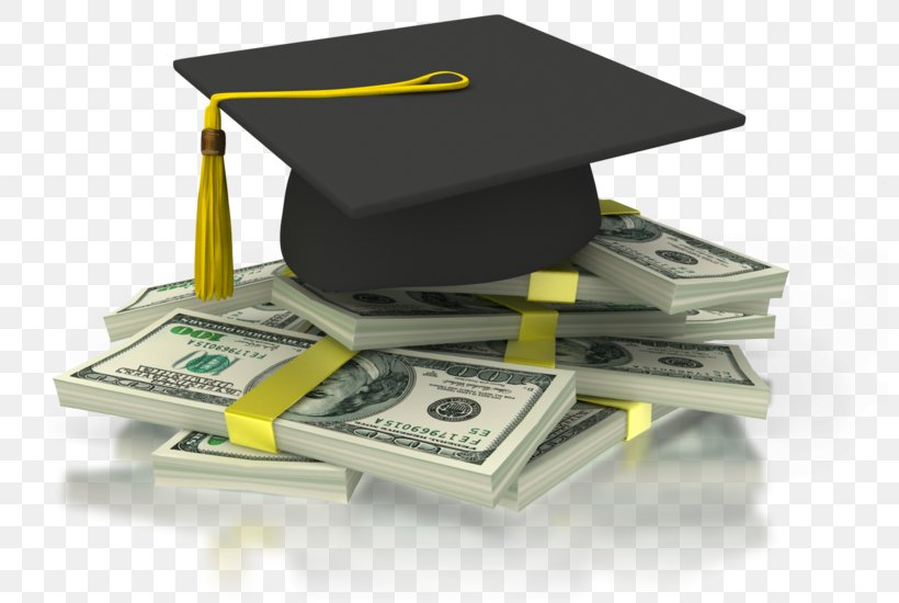 Scholarship College Student Higher Education Academic Degree, PNG, 800x550px, Scholarship, Academic Degree, Cash, College, Community College Download Free