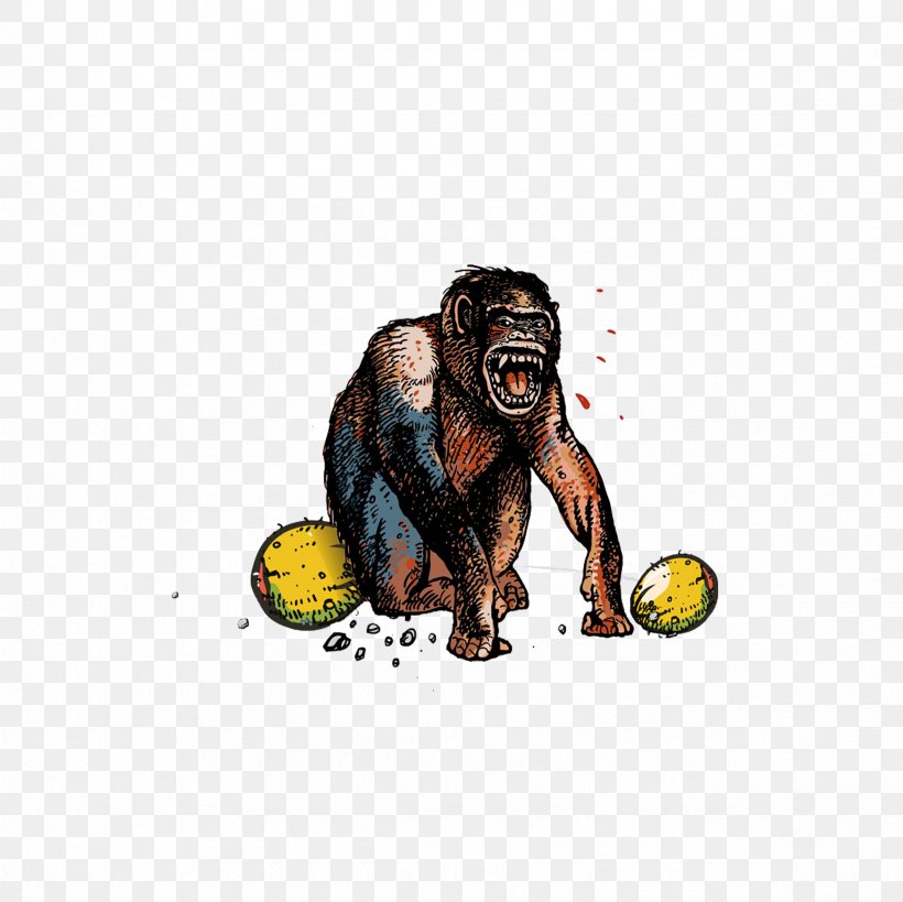 Gorilla Monkey Orangutan Common Chimpanzee Cartoon, PNG, 2362x2362px, Gorilla, Animation, Cartoon, Common Chimpanzee, Fototapeta Download Free