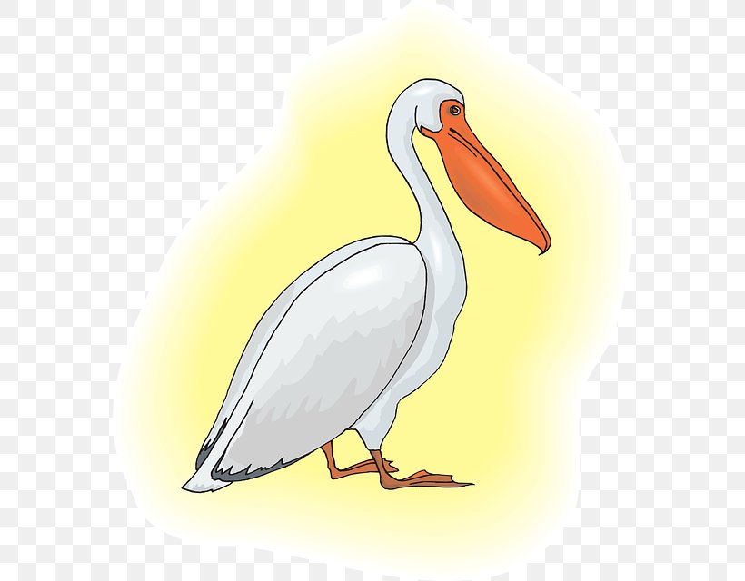 Pelican Clip Art, PNG, 572x640px, Pelican, Beak, Bird, Ducks Geese And Swans, Fauna Download Free